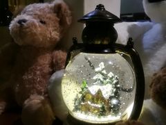 -咖法森林·咖啡  酒吧(天河店)