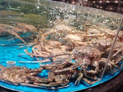 -徐记海鲜(梅溪新天地店)