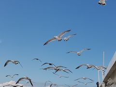 -海驴岛(荣成市)