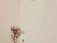 -Ginko银子(青龙街店)