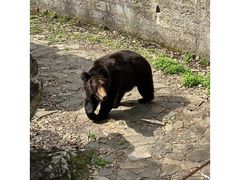 -杭州动物园