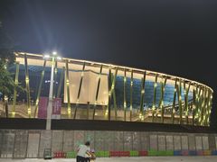 -深圳市宝安体育中心体育场