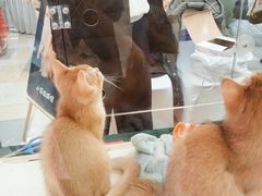 -鹏欣水游城