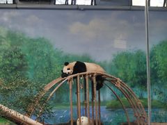 -杭州动物园