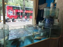 -鑫巴蜀(和平里店)