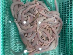 -海岛渔村大酒店(云霄路店)