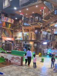 -卡通尼·Safari非洲探索乐园·生日会(金桥国际商业广场店)