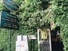 -Fern Forest Cafe