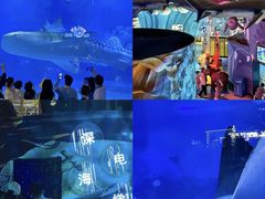 -烟台海昌鲸鲨海洋公园