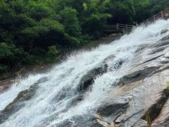 -广州白江湖森林公园