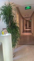 -东英经典SKIN&SPA