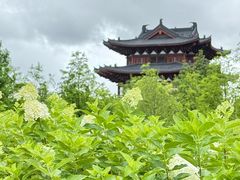 -江心屿景区