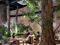 -山水茶艺馆·点心粤菜·30年老字号