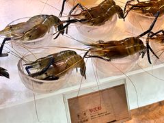 -半岛翡丽海鲜自助餐厅(观风亭店)
