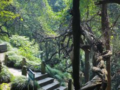 -严子陵钓台(富春江小三峡)