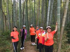 -青龙山国家森林公园