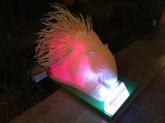 Chiang&nbsp;Mai&nbsp;Night&nbsp;Safari-清迈夜间动物园