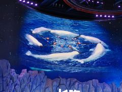 -珠海长隆海洋王国
