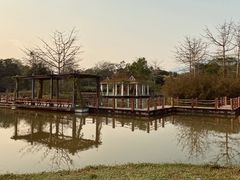 -中国科学院西双版纳热带植物园