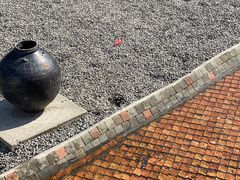 -凤阁楼果木烧鹅(鹤山陈山店)