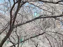 -西北湖绿化广场