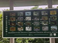 -福道