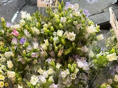 -循礼门鲜花花市(武汉循礼门店)
