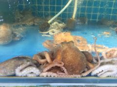 -87号烧烤海鲜·大排档(金沙滩店)
