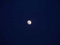 -天津医科大学肿瘤医院(本部院区)