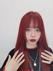 -YESIDO椰岛造型