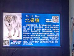 -梦幻海洋王国(吾悦广场张家港店)
