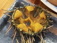 生海胆（黄海胆）-海胆小馆(东北水饺·春柳店)