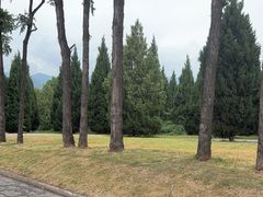 -秦始皇帝陵博物院-丽山园