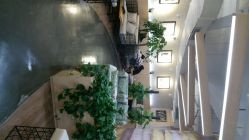 点击看大图 android_upload_pic-艺匠摄影ARTIZ STUDIO(南京店)