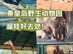 -秦皇岛野生动物园