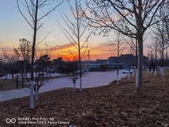 -北京西山国家森林公园