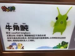 -萌宠奇缘