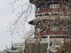 -圆通寺