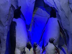 -太平洋海底世界