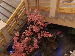 -纽斯洗浴SPA(三墩店)