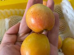 杏-双福水果批发市场
