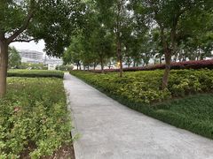 -上海山野camping·户外天幕烧烤·团建拓展营地