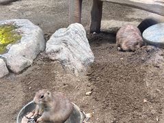 -海合安成都极地海洋公园