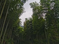-黄公望隐居地