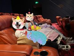 -金逸影城(中关村店)