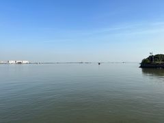 -大湾区中央湿地公园
