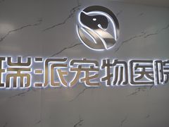 -瑞派宠物医院·24h·骨外科·皮肤科·全科宠物医疗转诊中心(沈阳浑南院)