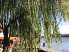 -郭守敬纪念馆