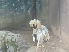 -杭州野生动物世界