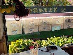 -陈生记黑鱼馆·20年活鱼现杀(宁波鼓楼店)